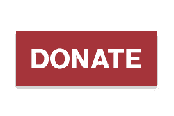 Make a secure online donation