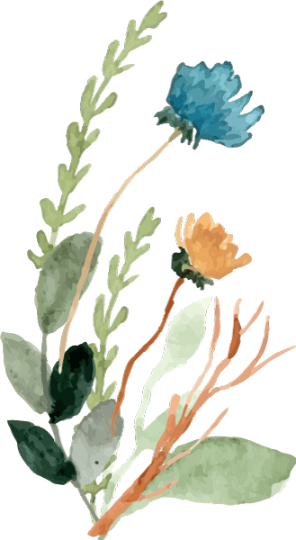 Bunch of watercolor flowers