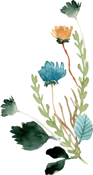 Bunch of watercolor flowers